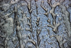 Image of slush on asphalt