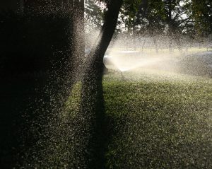 Image of sun glinting off of a water sprinkler.